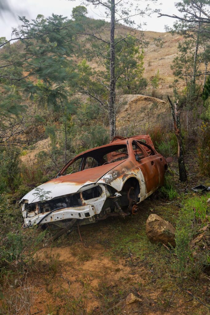 Rangkaian Kematian: Tunawisma di Australia, Kecelakaan Remaja, dan Tragedi Pertanian