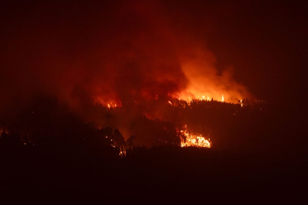 Spanyol Berjuang Melawan Kebakaran Hutan Mematikan di Tengah Gelombang Panas