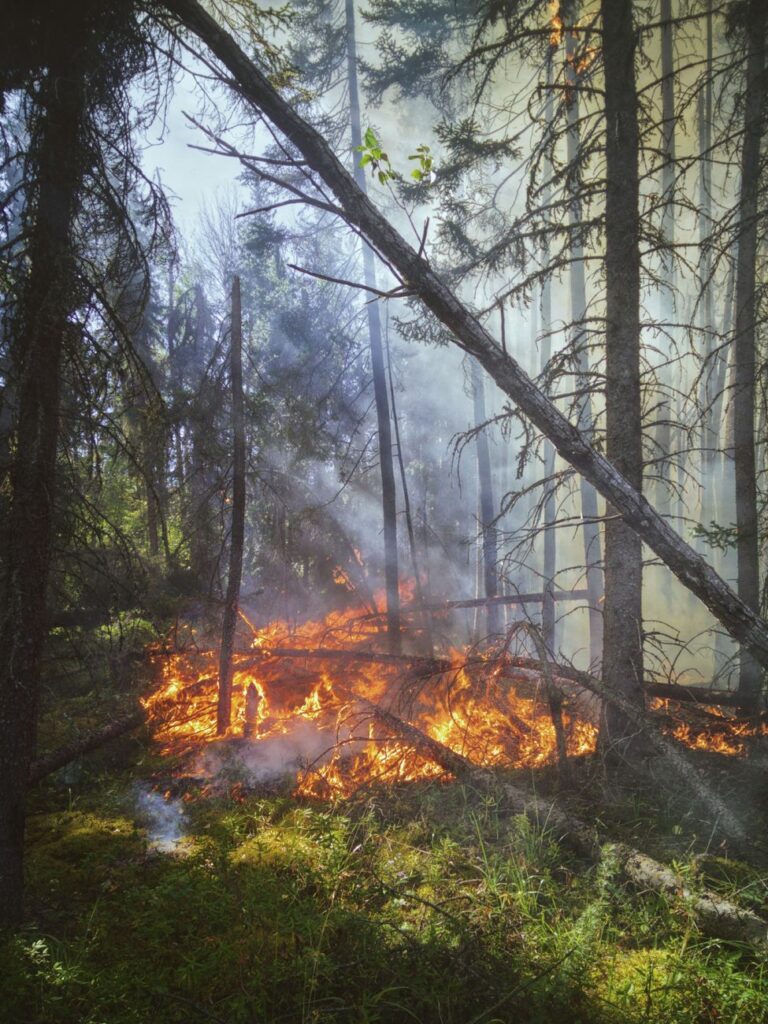 Kanada: British Columbia Nyatakan Keadaan Darurat Saat Kebakaran Meluas